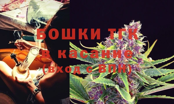 молекула духа Аркадак