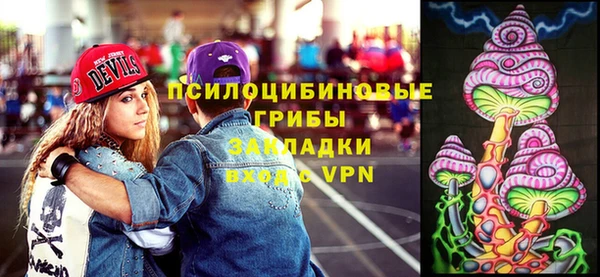 молекула духа Аркадак