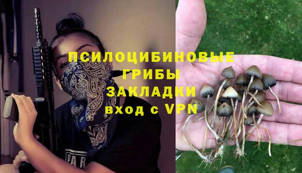 молекула духа Аркадак