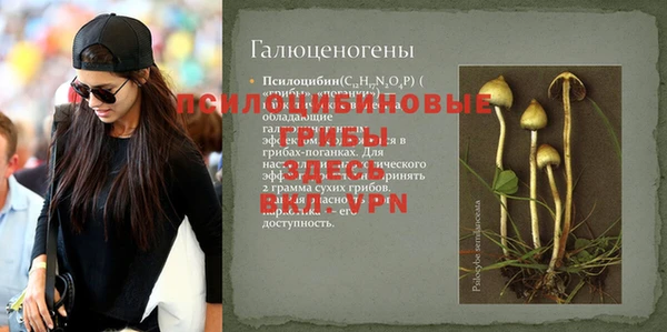 Альфа ПВП Армянск