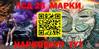 a pvp Гатчина