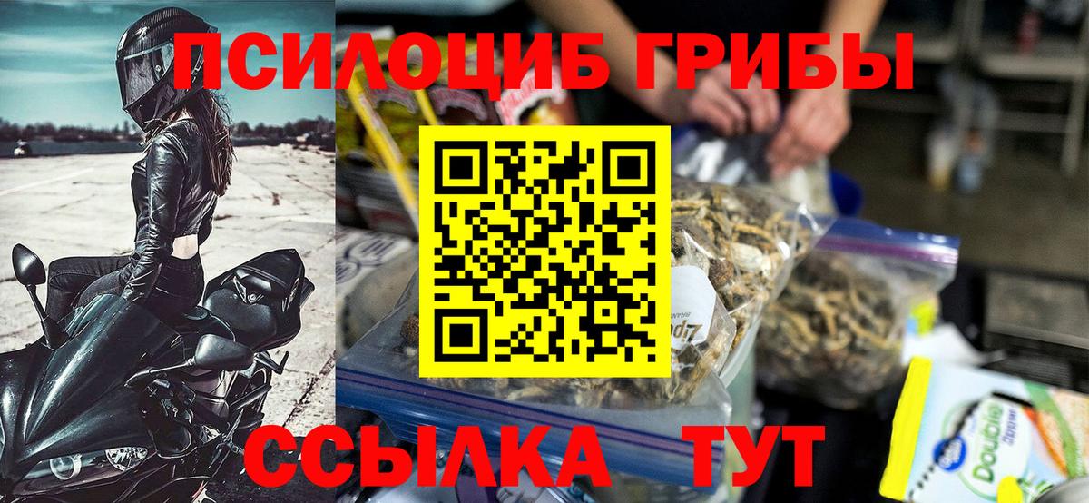 Галлюциногенные грибы Cubensis Лянтор